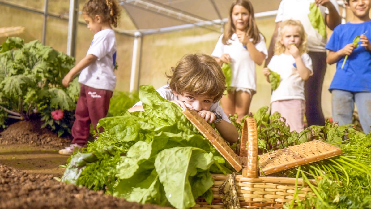 Ibiti Kids: ferias de julho com crianças no Ibiti Projeto - visita à horta da Gaia