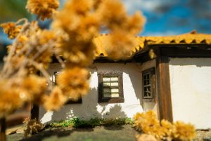 Casa Thomas Sowell